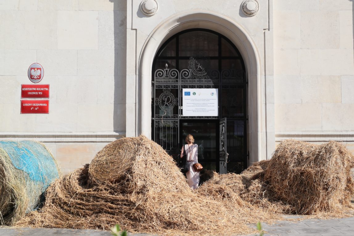 Deutsche Welle – Grains of truth: Polish farmers irate over Ukrainian imports